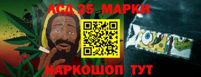 гашик Донецк