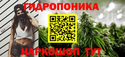 гашик Донецк