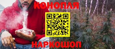 гашик Донецк