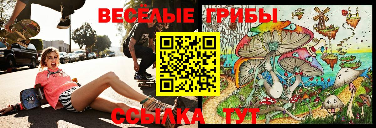 Галлюциногенные грибы Cubensis Моздок